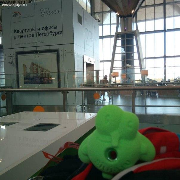 Жужа отправляется в путешествие очередное. Сейчас из Питера летит во Франкфурт. #скалодром #франфурт #сжужа #полет #аэропорт